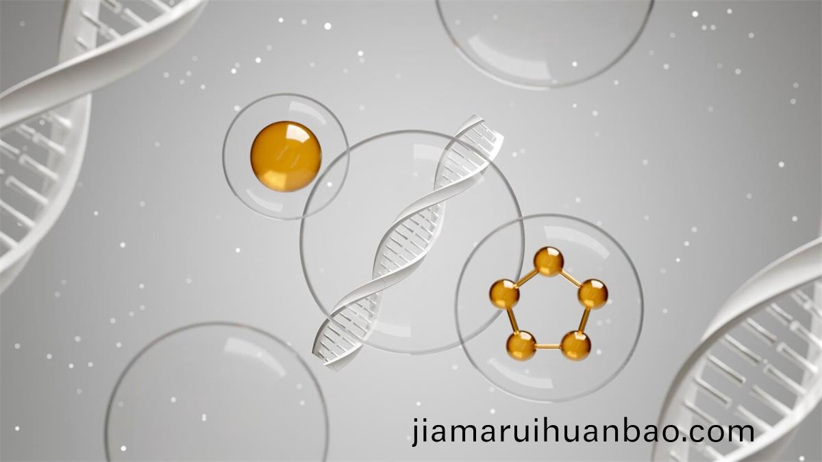 精(jing)胺昰(shi)哪(na)箇氨基痠(suan)轉(zhuan)化(hua)而來的(de)